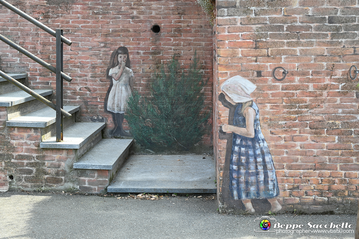 VBS_3671 - Fontanile (Asti) - Murales di Luigi Amerio.jpg